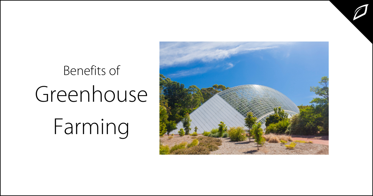 benefits-of-greenhouse-farming